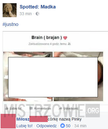 Brain –  