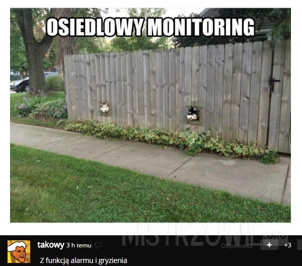 Osiedlowy monitoring –  