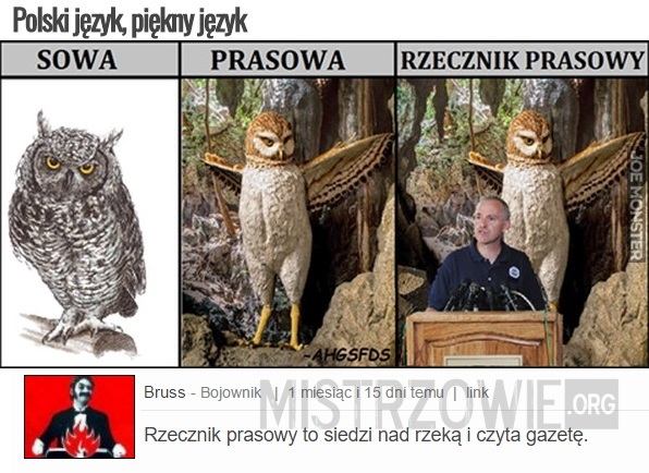 Polski język, piękny język –  