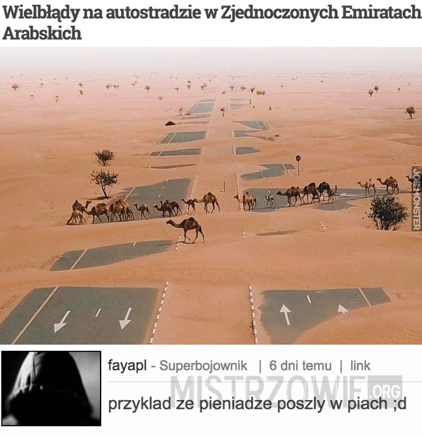 Wielbłądy na autostradzie w Zjednoczonych Emiratach Arabskich –  