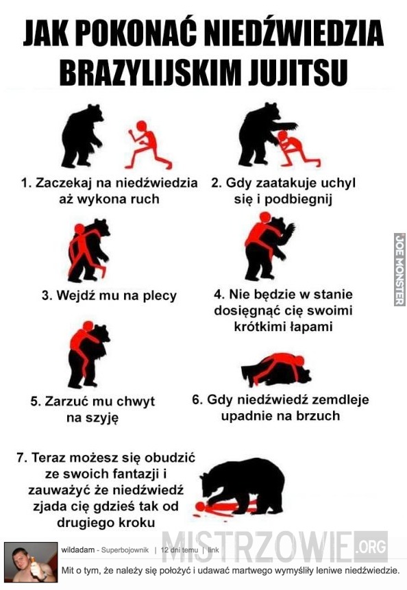 Jak pokonać niedźwiedzia –  