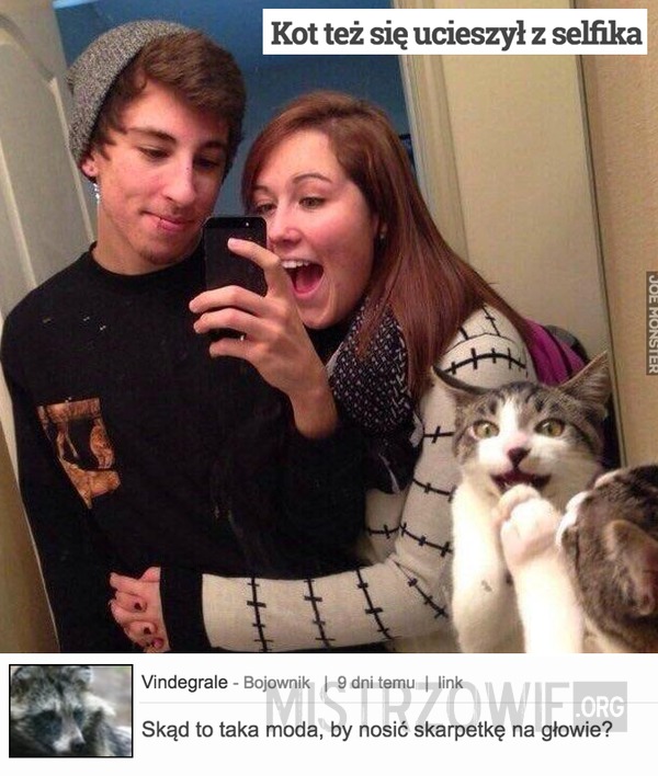 Kot też się ucieszył z selfika –  