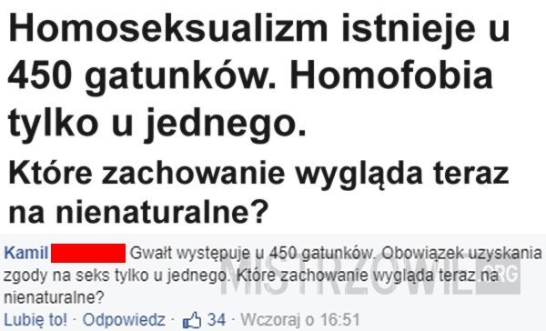 Homoseksualizm –  