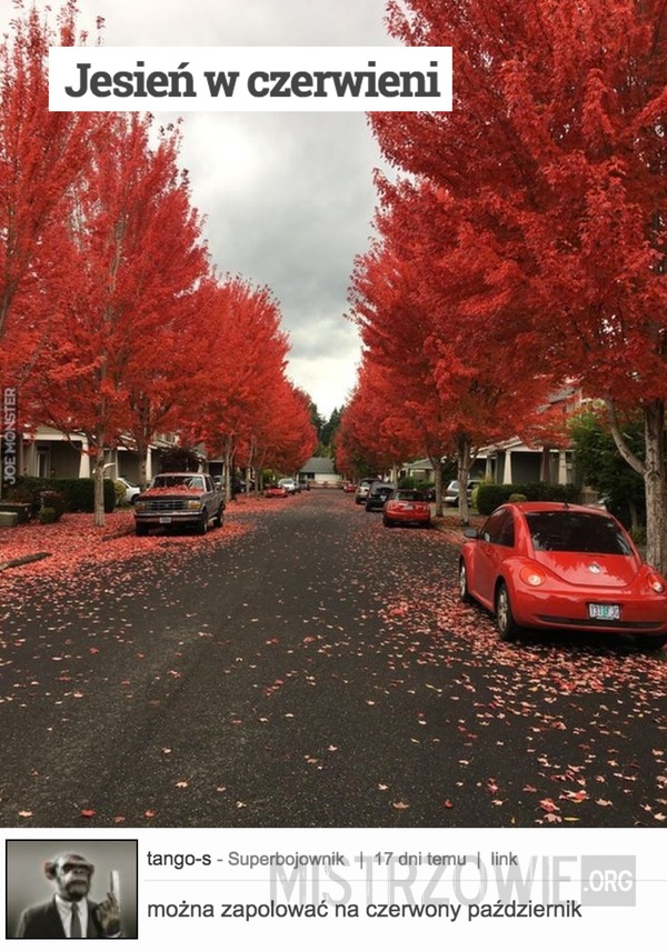 Jesień w czerwieni –  