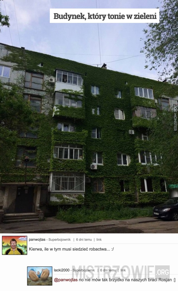 Budynek, który tonie w zieleni –  