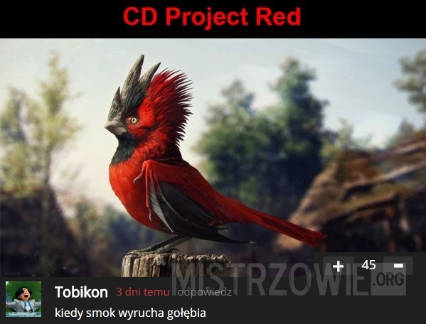 CD Project Red –  