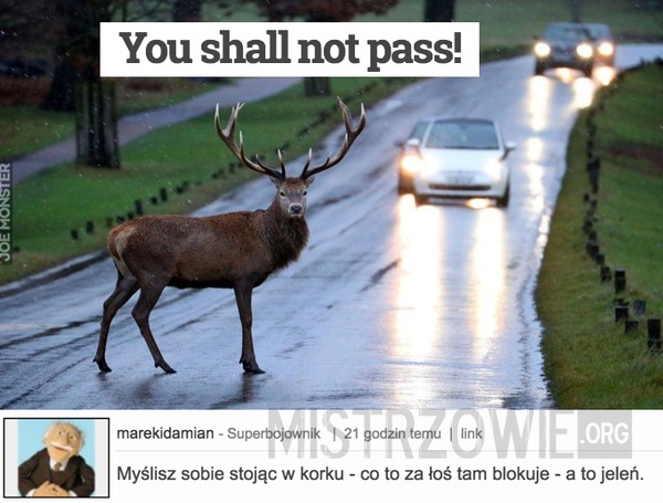 You shall not pass! –  