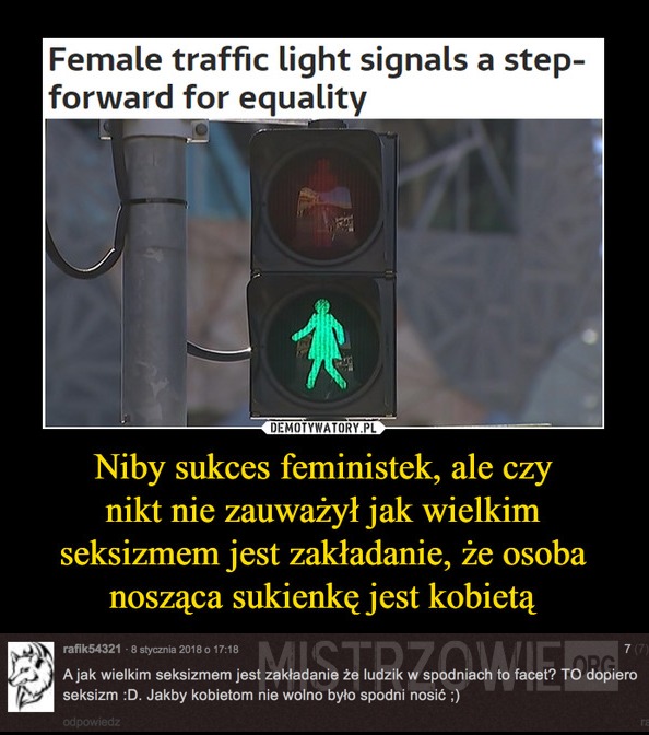 Feministki –  