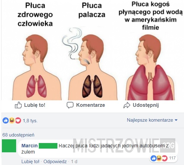 Płuca –  