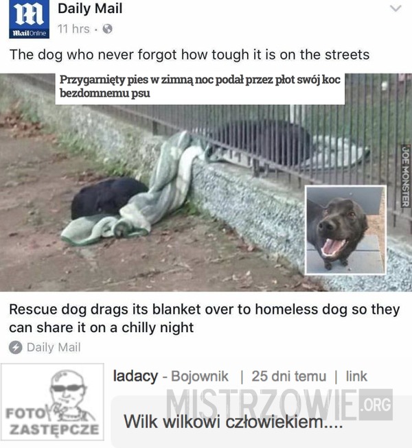 Przygarnięty pies w zimną noc podał przez płot swój koc bezdomnemu psu –  