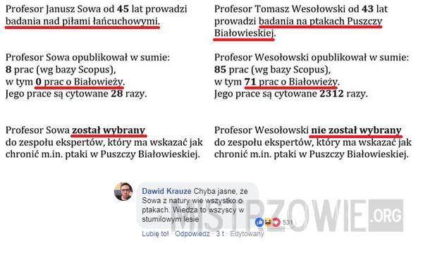 Sowa vs Wesołowski –  