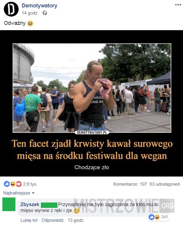 Festiwal –  
