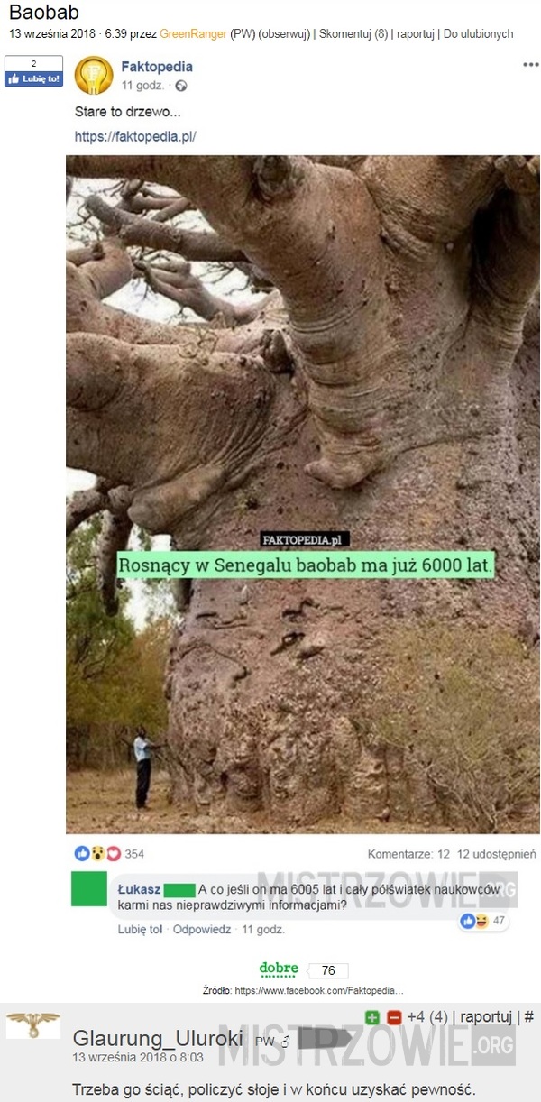 Baobab 2 –  