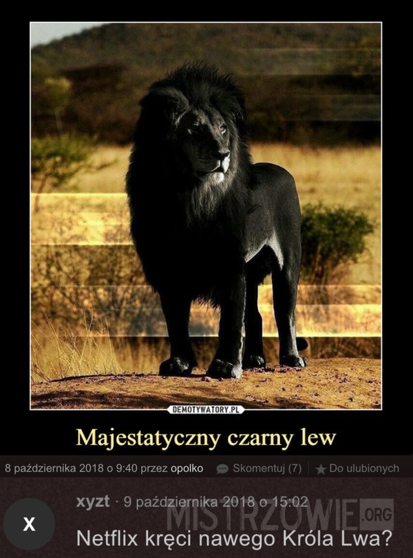 Czarny lew –  