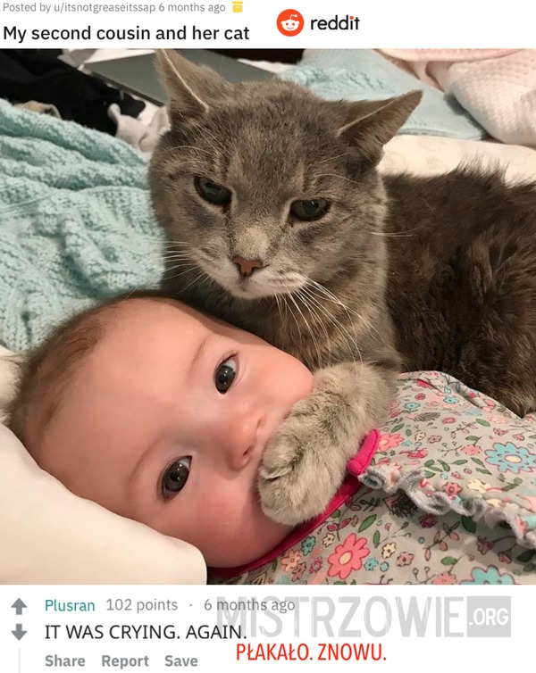 Kuzynka i jej kot –  