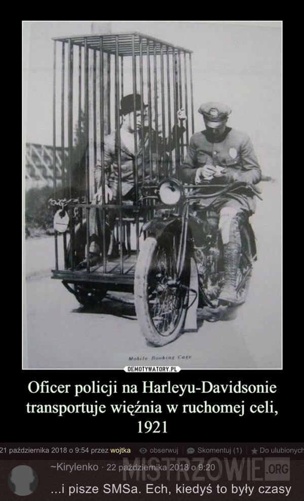 Oficer policji –  