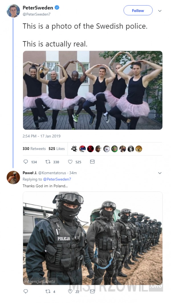 Polska policja vs szwedzka –  