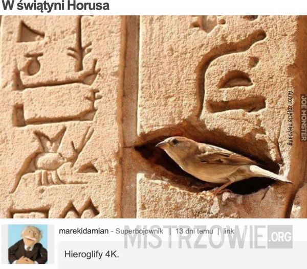 W świątyni Horusa –  