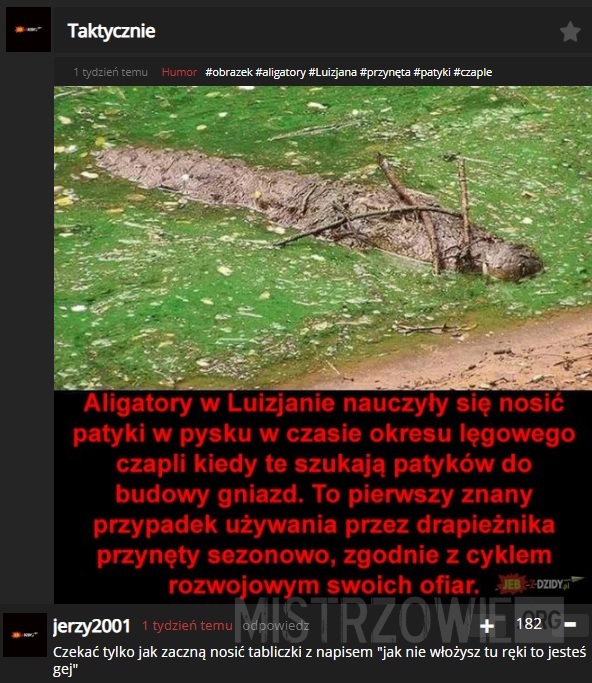 Aligatory –  