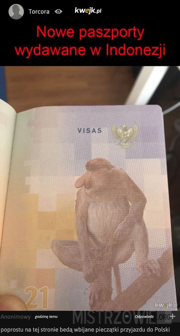 Paszporty w Indonezji –  