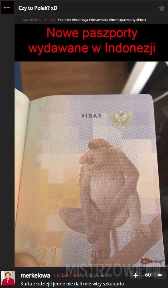 Paszport –  
