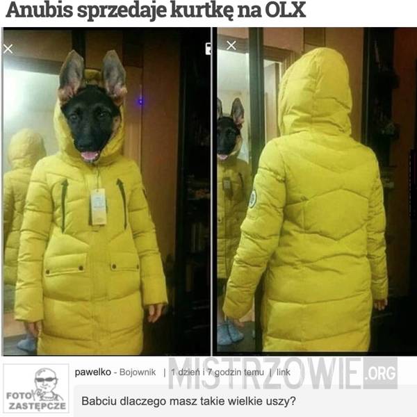 Anubis sprzedaje kurtkę na OLX –  