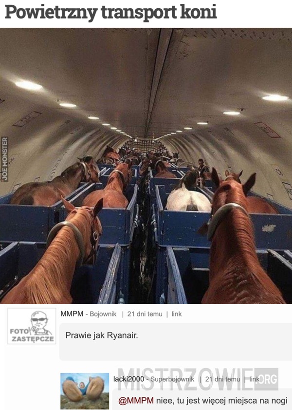 Powietrzny transport koni –  