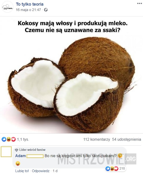 Kokosy –  
