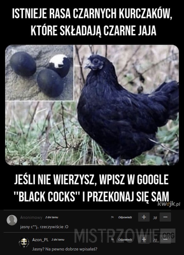 Czarny kurczak –  