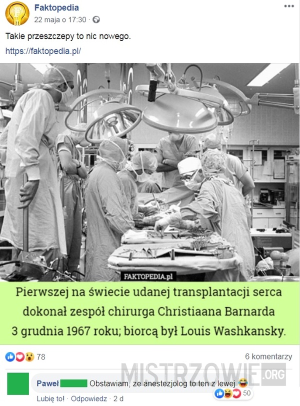 Transplantacja –  