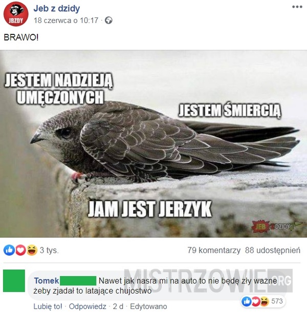 Jerzyk –  