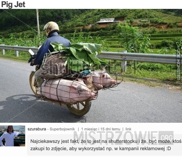 Pig Jet –  