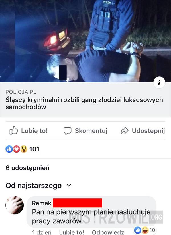 Śląscy kryminalni rozbili gang –  