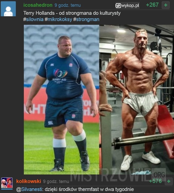 Terry Hollands –  