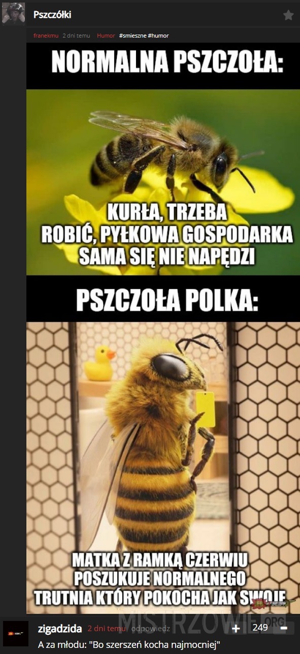 Pszczoła –  
