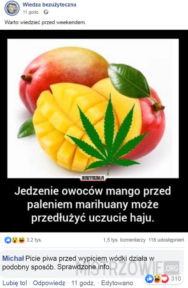 Mango –  