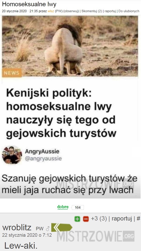 Homoseksualne lwy 2 –  
