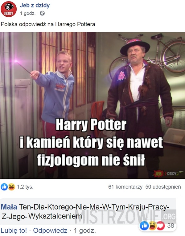 Polska odpowiedź na Harrego Pottera –  