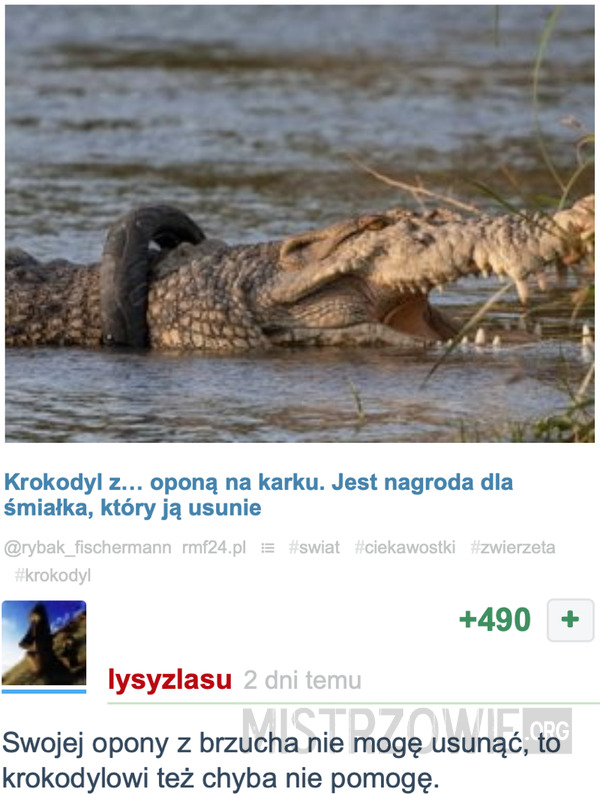 Krokodyl z oponą –  