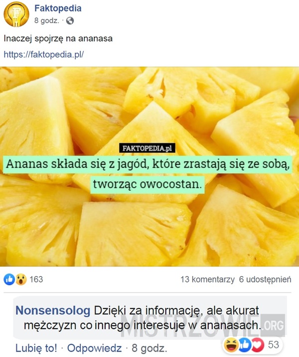 Ananas –  