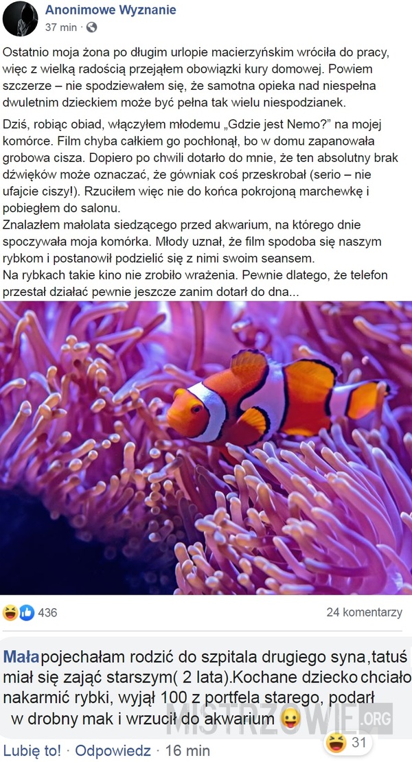 Nemo –  
