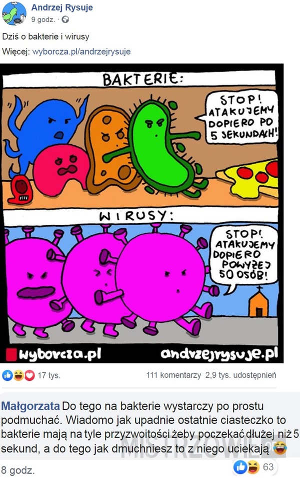 Bakterie i wirusy –  