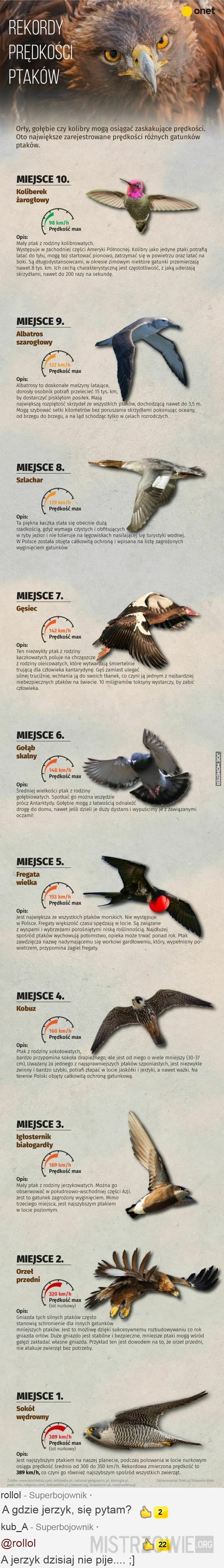 Prędkości ptaków –  