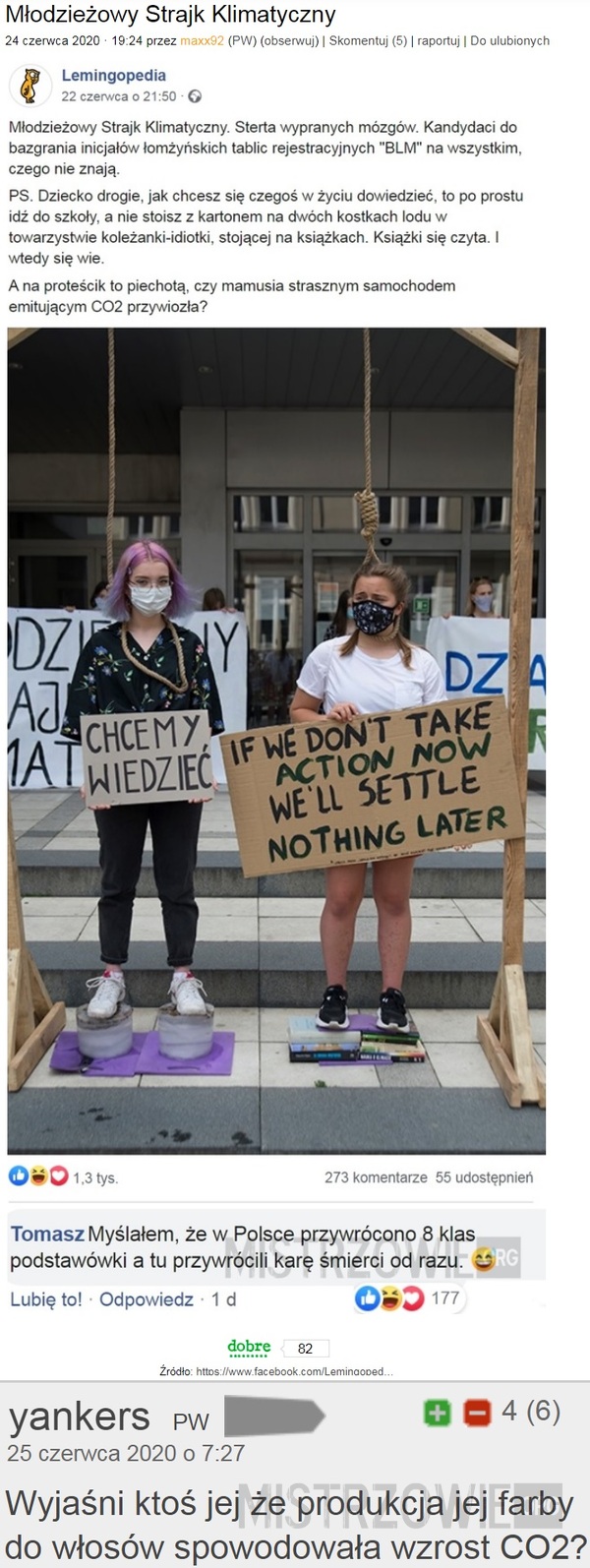 Młodzieżowy Strajk Klimatyczny 2 –  