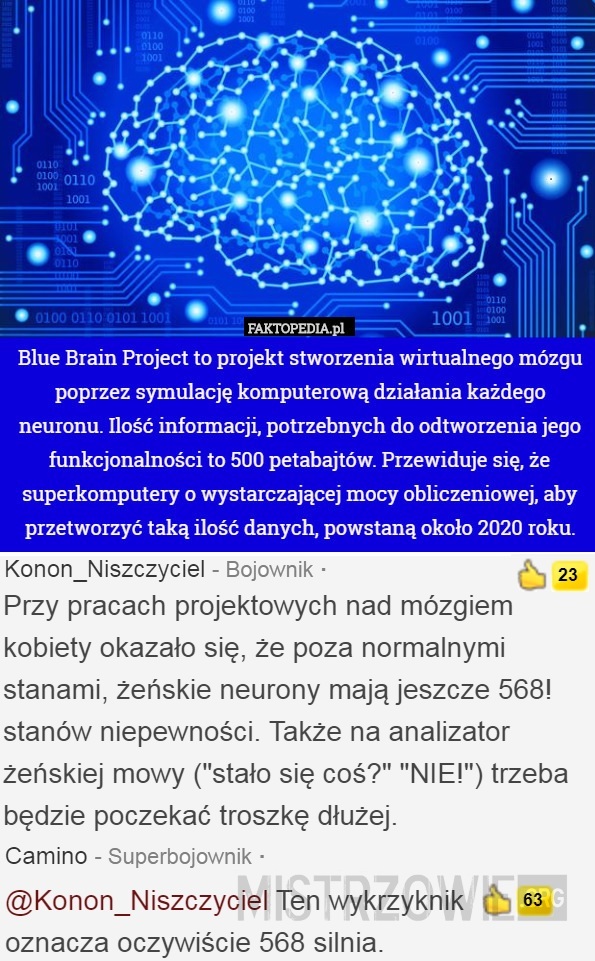 Blue Brain Project –  