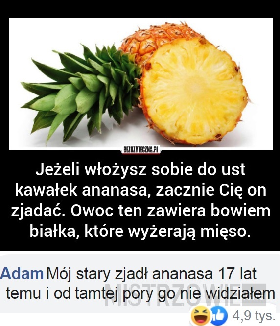 Ananas –  