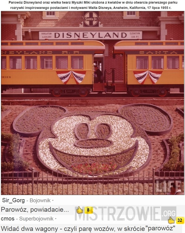 Disneyland –  