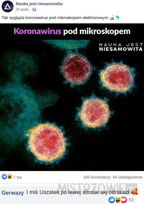 Koronawirus –  