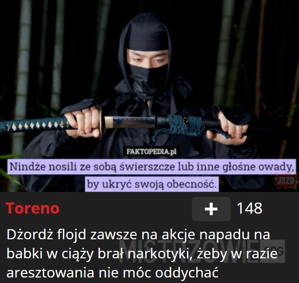 Ninja –  