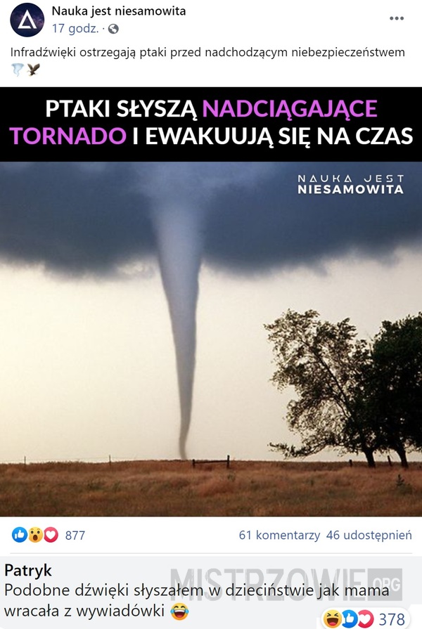 Tornado –  